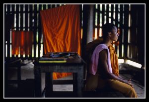 Buddhist Monks_04.jpg